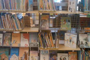 PvdA blij met zes nieuwe locaties ‘Bibliotheek op school’